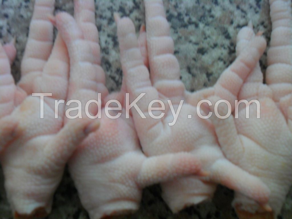 Frozen chicken paws
