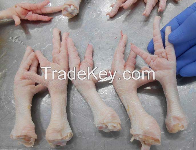Grade A frozen chicken feet