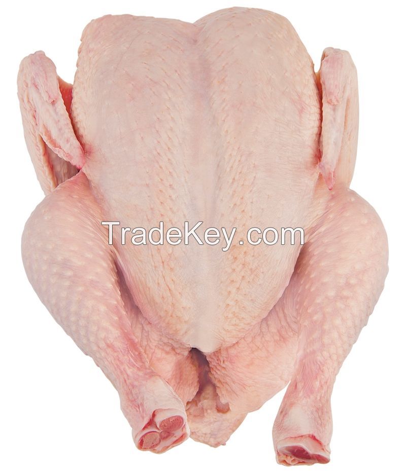 Grade A frozen whole chicken griller