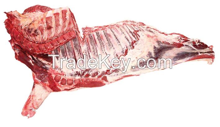 Halal Frozen beef Briskets