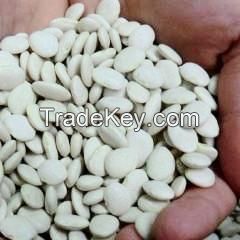 Dry Lima Beans Large White Lima Bean for sale 