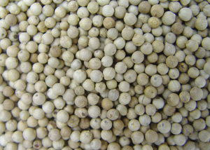 white pepper