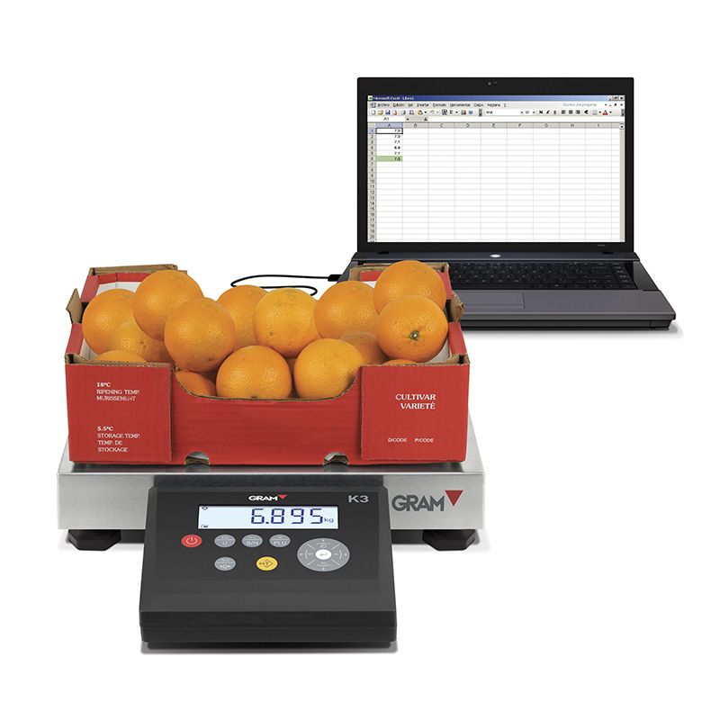 Weighing indicator K3 with rechargeable battery and LCD display