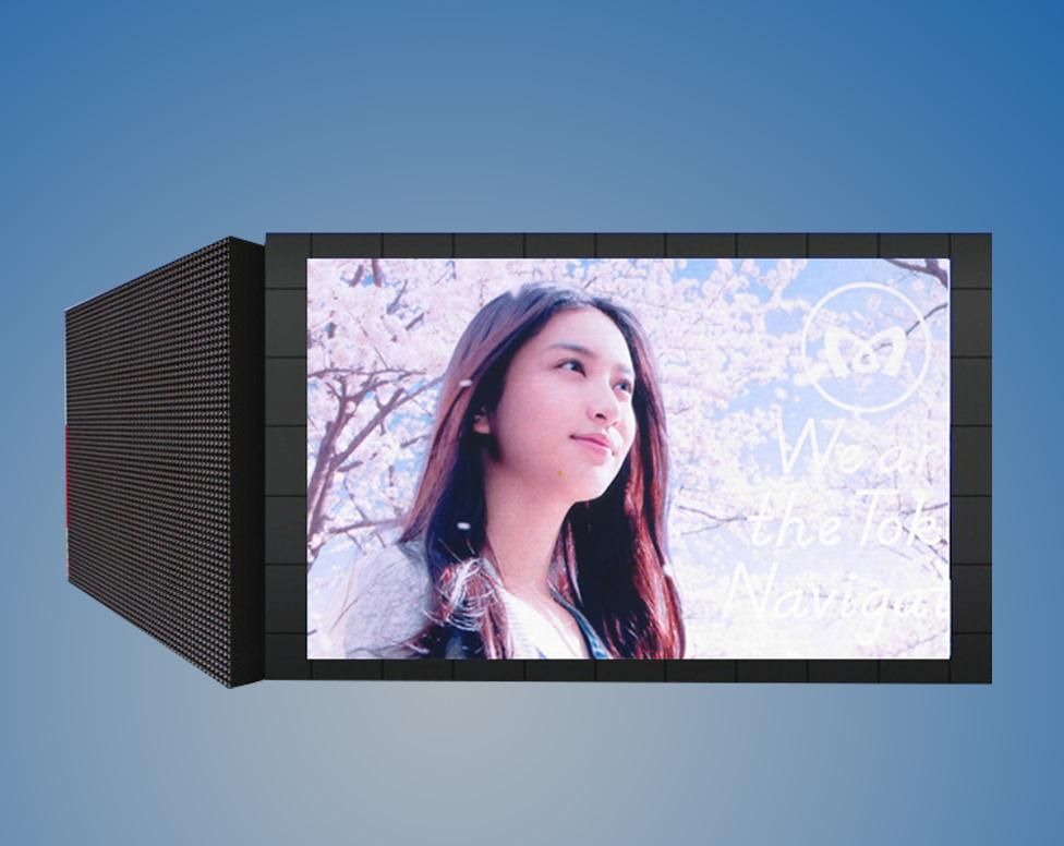 Full Color, Blue, Red, Green Tube Chip Color and Video Display Function Soft LED Display