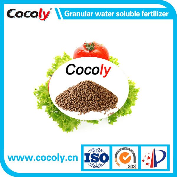 Cocoly foliar fertilizer with 100% water solubility