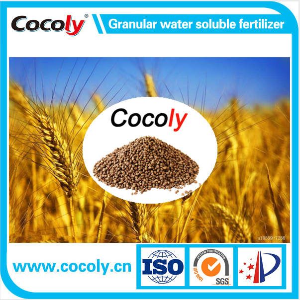 Cocoly organic fertilizer full solubility granular shape