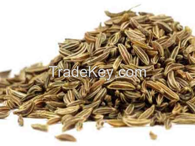 Cumin Seeds