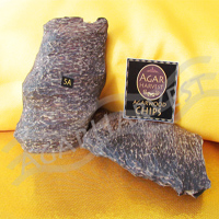 Agarwood-Aloeswood-Oud-Oudh-Gaharu Chips