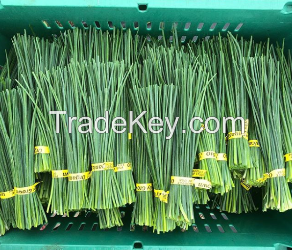 Vegetables' twist ties , packing tie , label tie