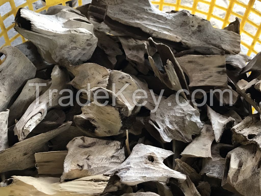 Agar Oudh wood chips from Vietnamese aquiiralia crasna