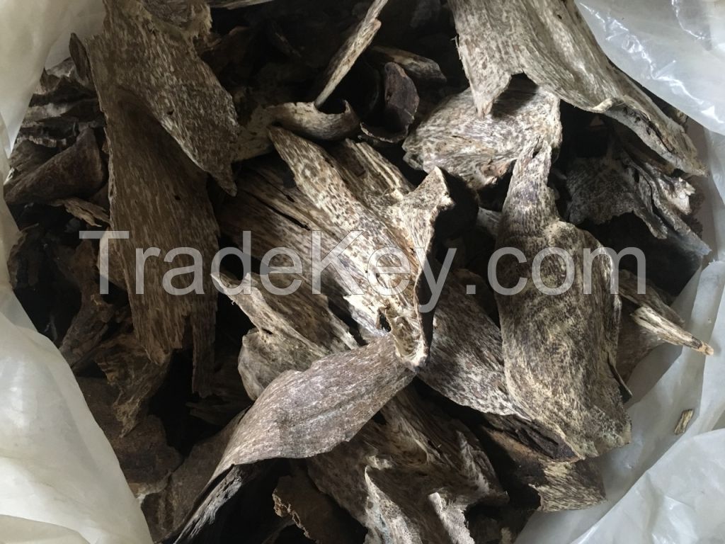 Agar Oudh wood chips from Vietnamese aquiiralia crasna