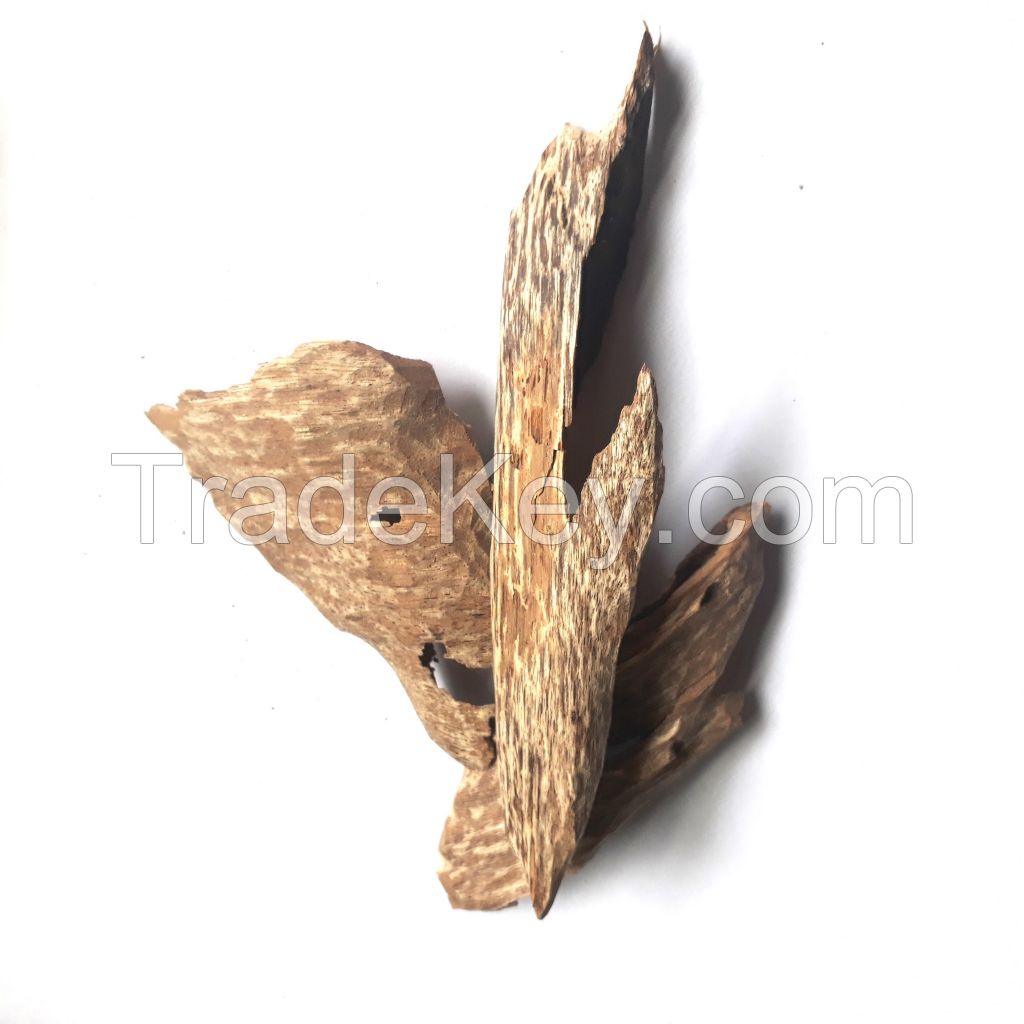 Agar Oudh wood chips from Vietnamese aquiiralia crasna