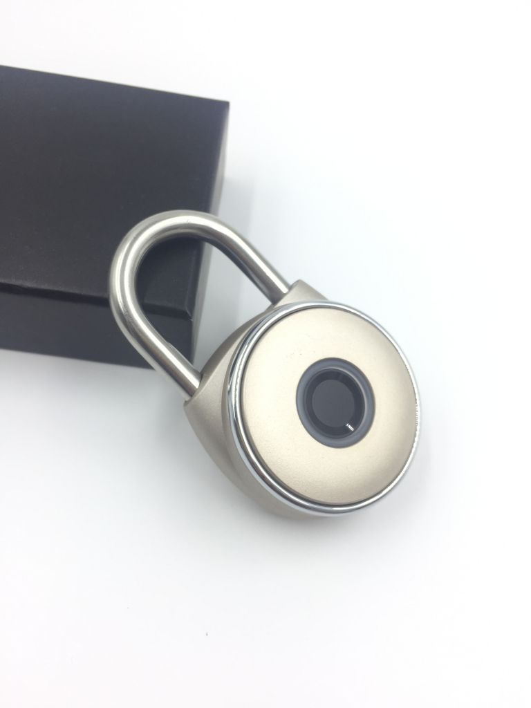 Biometric Padlock