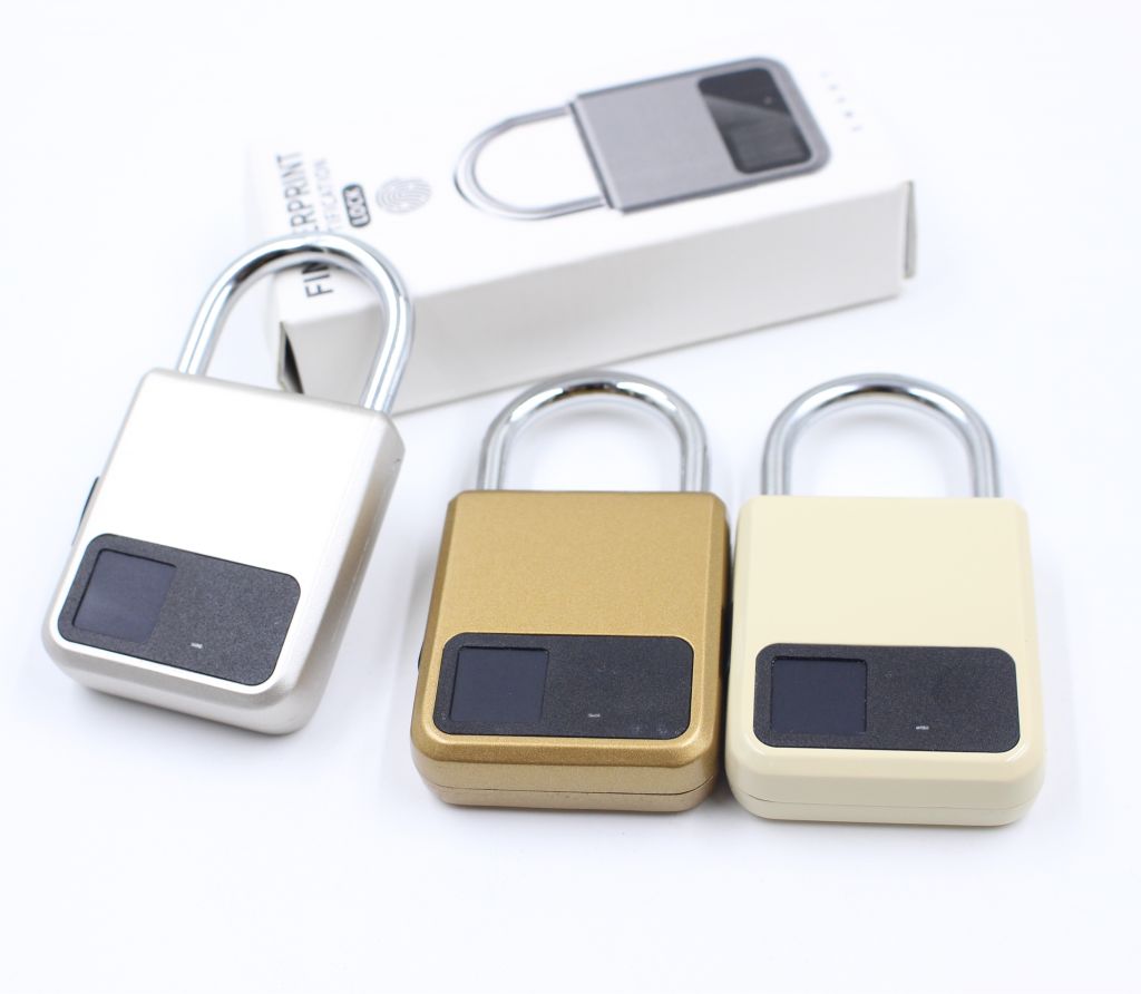 Customized Color New Fingerprint Padlock