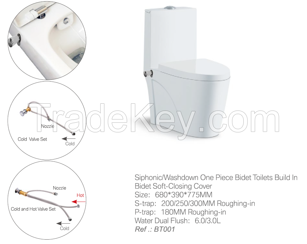 Build-in Bidet Toilet  BT001