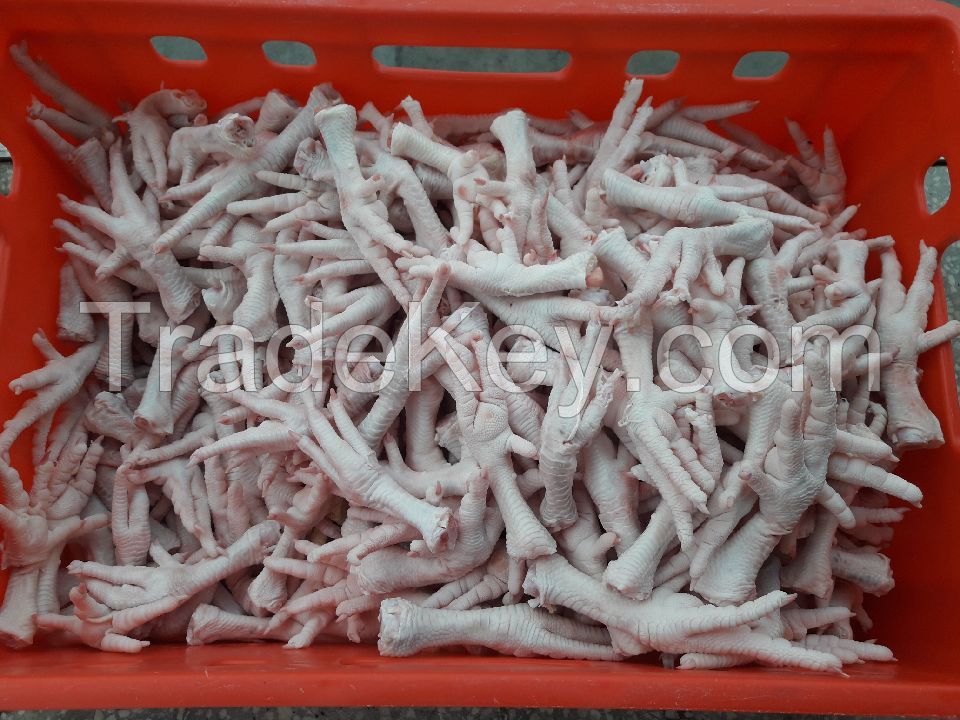 Chicken Feet Grade A and B