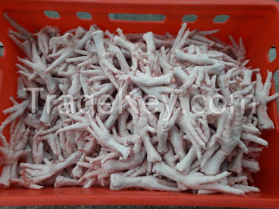 Clean Fresh Frozen Chicken Feet and Chicken Paws
