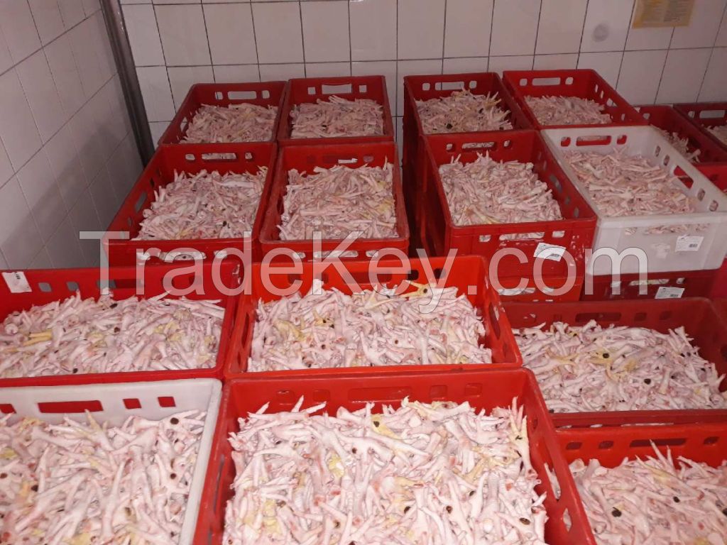 Frozen Chicken Feets for Export