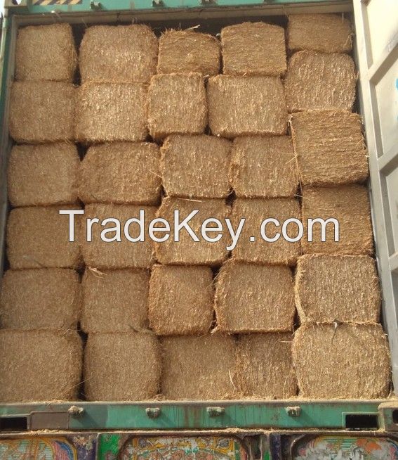 Wheat Straw (High grade from Pakistan)