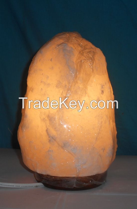 Salt Natural Lamp