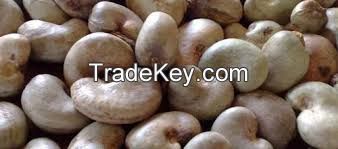 Raw Cashew Nuts