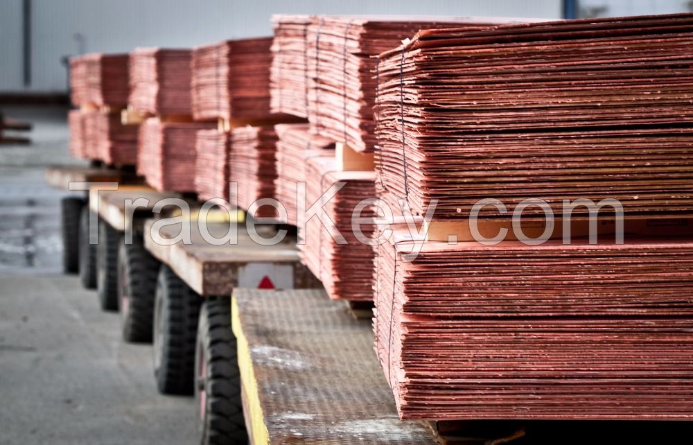 Copper Cathode 99.99%