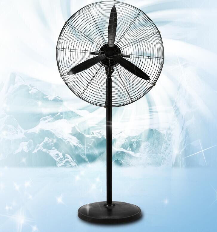 Pedestal fan