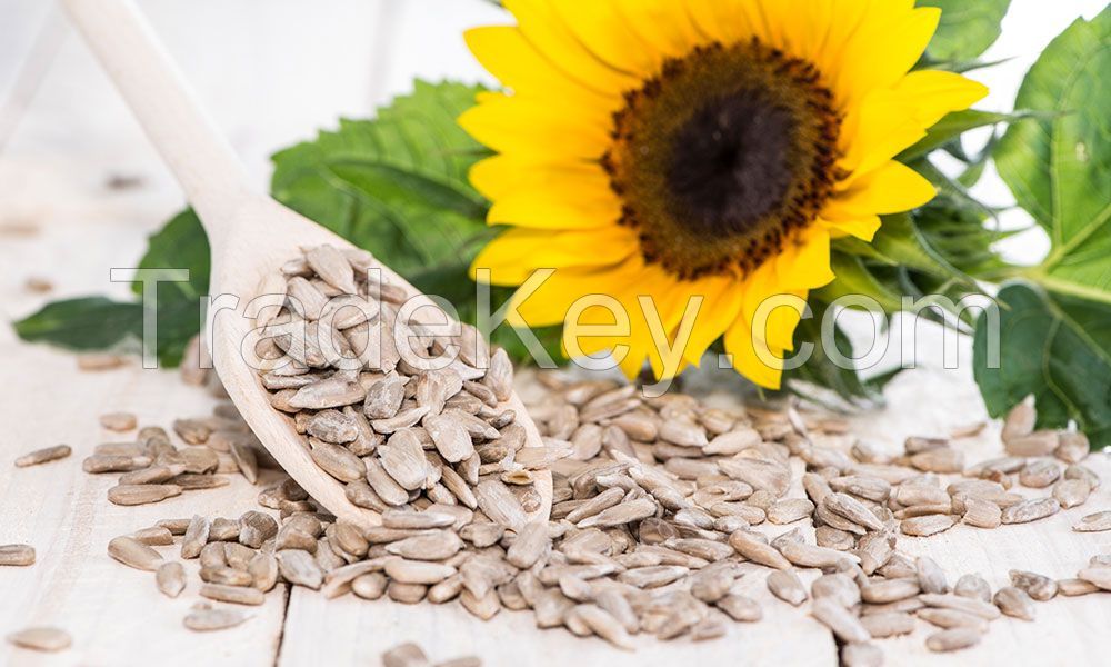 Sunflower Kernels