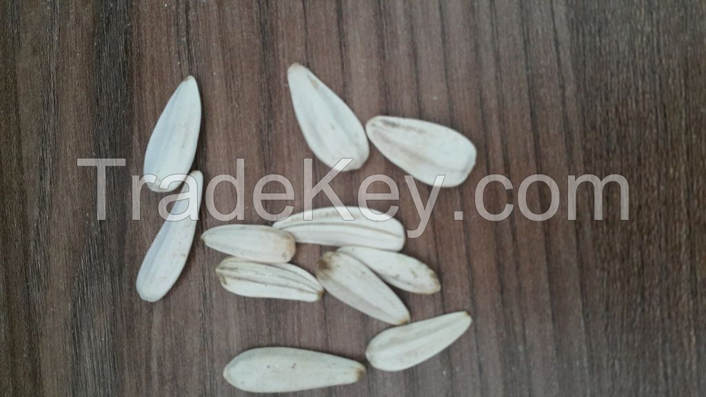 White sunflower seeds