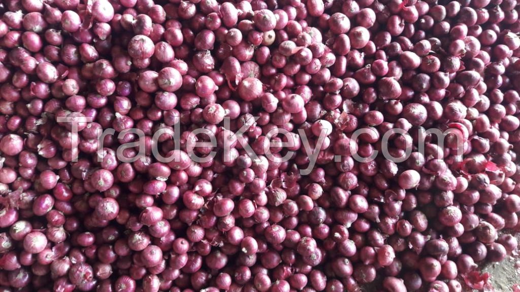 red onions