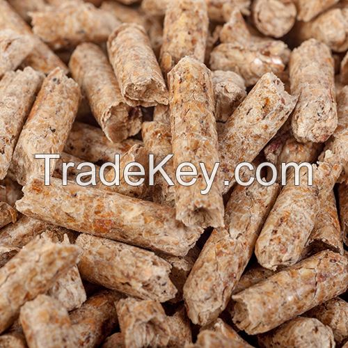 Coconut Peat Pellets