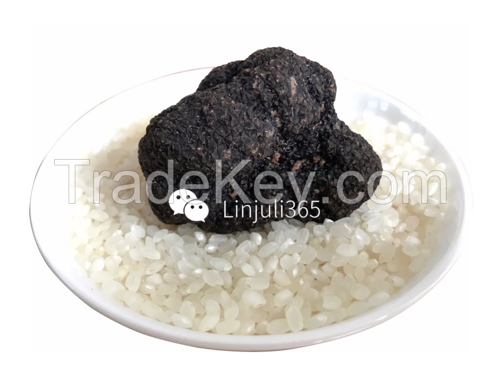 black winter truffles, summer truffles, fresh truffles, tuber melanosporum,