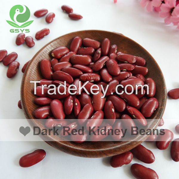 Dark red kidney beans