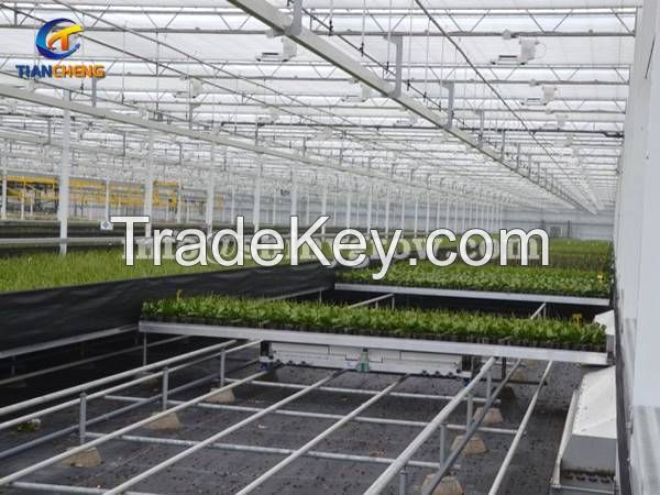 Stationary Metal Greenhouse Benches for Commercial Nursery