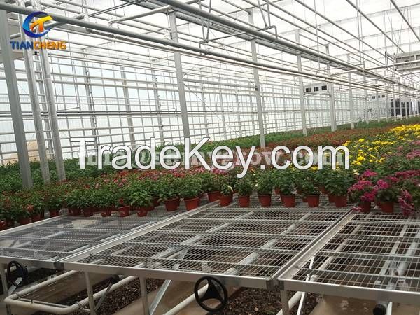 Greenhouse Rolling Benches for Efficient Greenhouse Operation