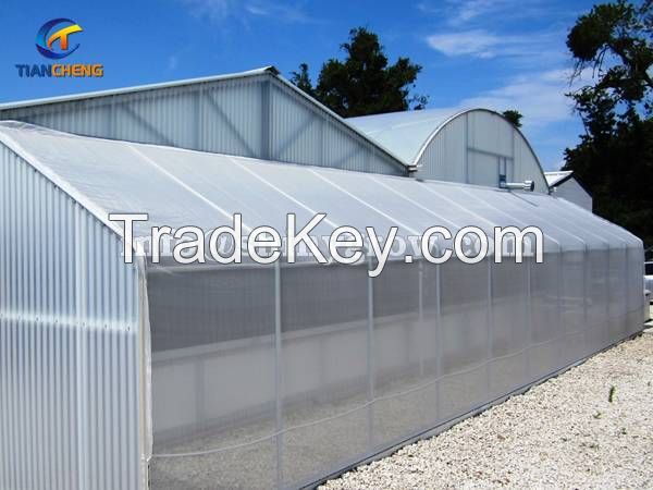 Greenhouse Insect Screen for High Planting Percent &amp; Seedling Quality