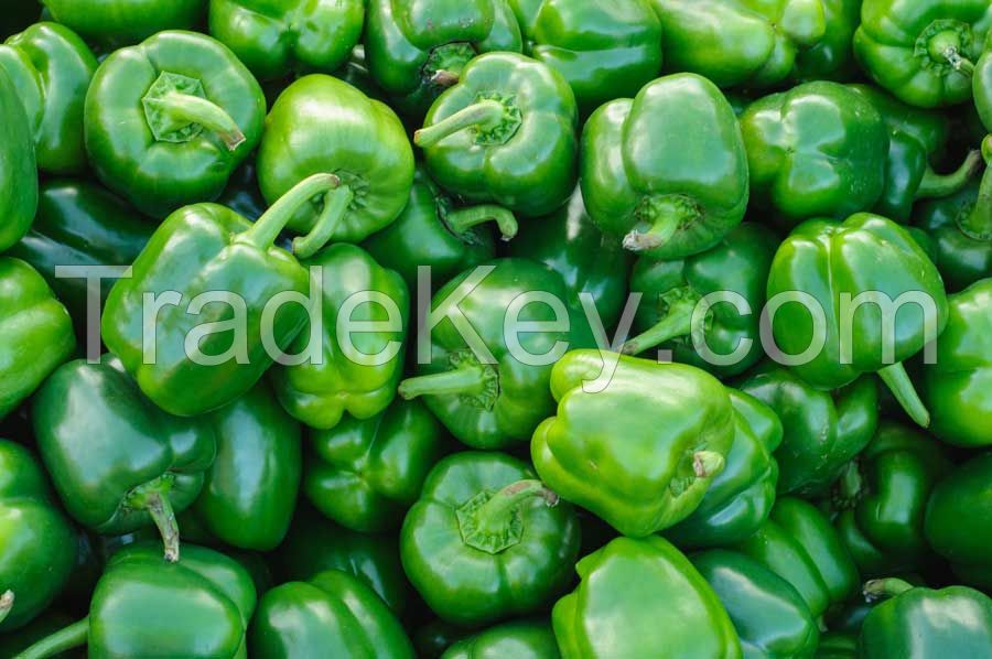 Dehydrated Green Bell Pepper, Red Bell Pepper