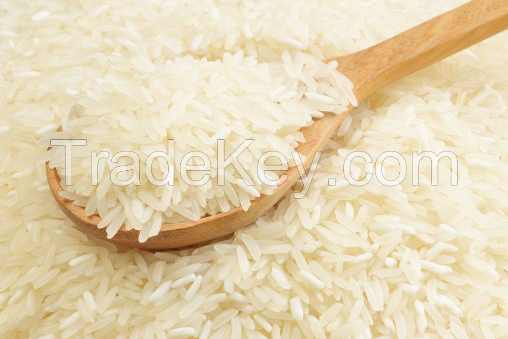 Perfume and sweet of jasmine rice 