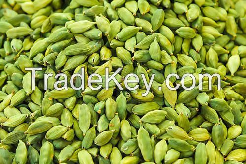 Premium Quality Green Cardamom