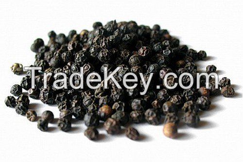 Hot selling new hot product food seasoning black pepper 