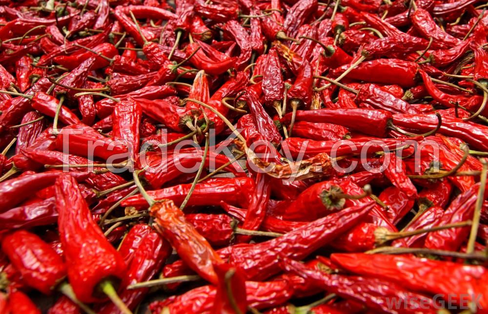 high quality natural fresh red chili/pepper