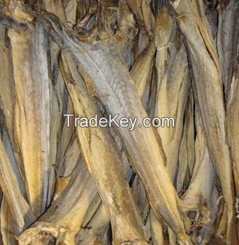 DRIED STOCKFISH ,DRIED STOCKFISH HEADS, DRIED COD FISH 