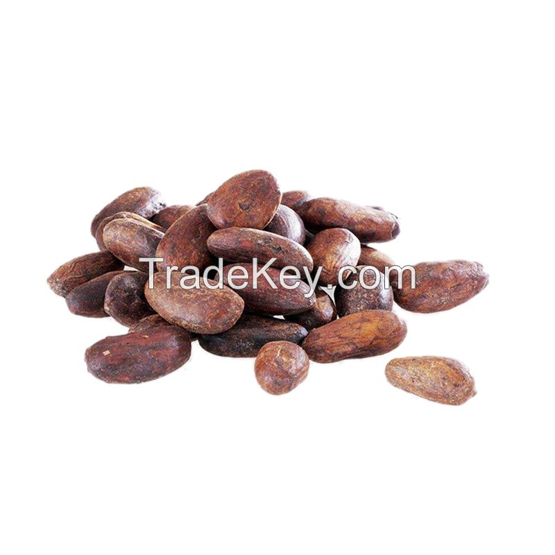 Certified Organic Cocoa Beans and Cocoa Nibs