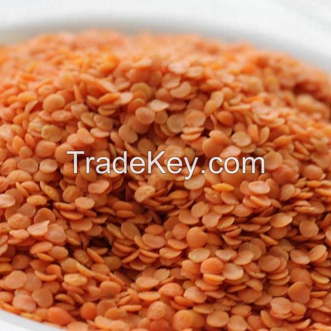 Premium Dry Green, Red, Black and Brown Lentils