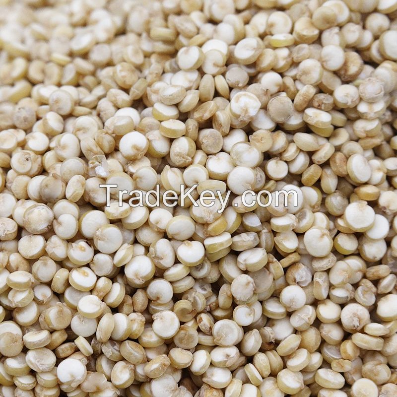 Quinoa Grain/ Quinoa Seeds/Organic Quinoa Grain for sales