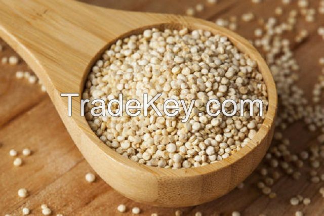 2019 crop High Protein Organic Quinoa For Export