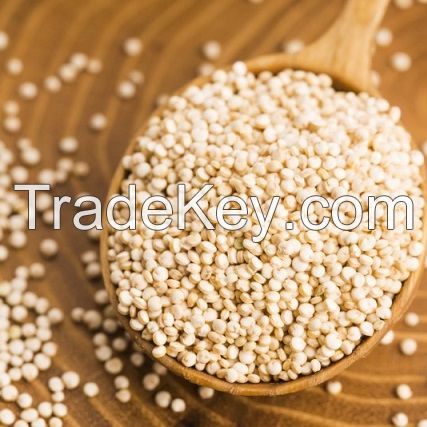 Quinoa Grain/ Quinoa Seeds/Organic Quinoa Grain for sales