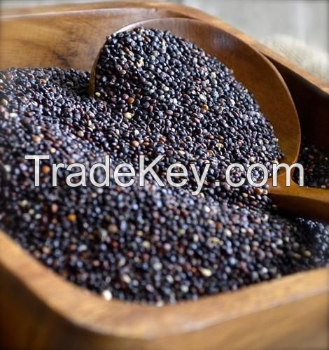 2019 crop High Protein Organic Quinoa For Export