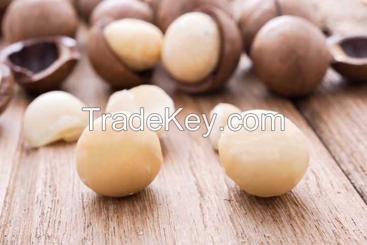 Organic Macademia Nuts cheap price Macademia Nuts