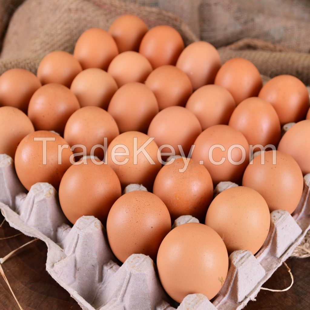 2019 Premium Farm Fresh Chicken Table Eggs Brown and White Shell Chicken Eggs Fresh white and brown chicken eggs